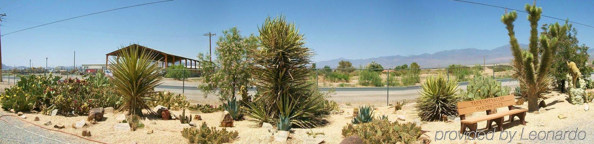 Best Western Oasis 3*